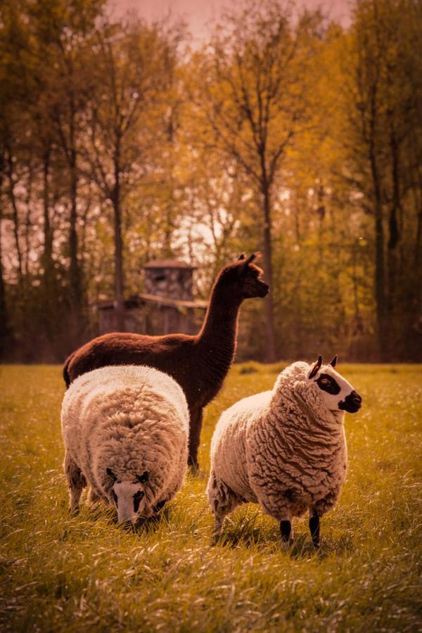 De Betze - Country Life Villa Geetbets Dış mekan fotoğraf